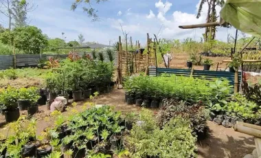 Prime Commercial Lot for Sale in Bacolod City – 19,456 sqm Near Rockwell for only ₱15K/sqm!!!