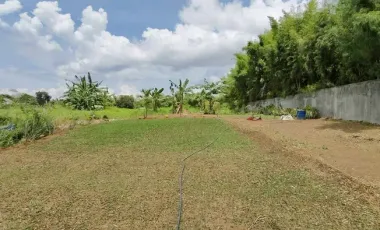 Prime Commercial Lot for Sale in Bacolod City – 19,456 sqm Near Rockwell for only ₱15K/sqm!!!