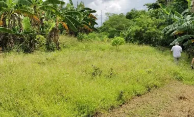 Prime Commercial Lot for Sale in Bacolod City – 19,456 sqm Near Rockwell for only ₱15K/sqm!!!