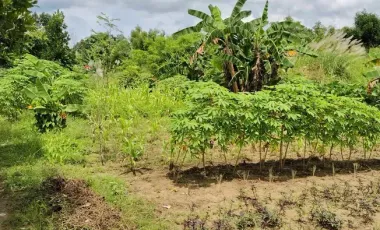 Prime Commercial Lot for Sale in Bacolod City – 19,456 sqm Near Rockwell for only ₱15K/sqm!!!