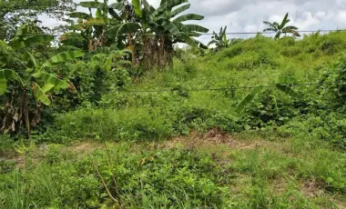 Prime Commercial Lot for Sale in Bacolod City – 19,456 sqm Near Rockwell for only ₱15K/sqm!!!