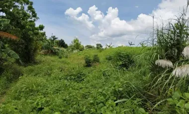 Prime Commercial Lot for Sale in Bacolod City – 19,456 sqm Near Rockwell for only ₱15K/sqm!!!