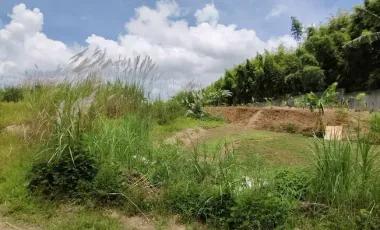 Prime Commercial Lot for Sale in Bacolod City – 19,456 sqm Near Rockwell for only ₱15K/sqm!!!