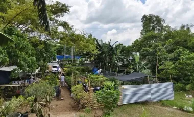 Prime Commercial Lot for Sale in Bacolod City – 19,456 sqm Near Rockwell for only ₱15K/sqm!!!