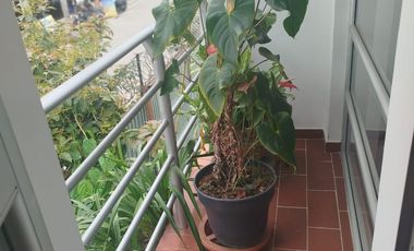 CASA CERCA AL EXITO