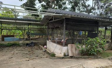 SE VENDE FINCA  En Santa Rosa, Sector el Quemado