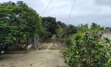 SE VENDE FINCA  En Santa Rosa, Sector el Quemado