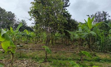 SE VENDE FINCA  En Santa Rosa, Sector el Quemado