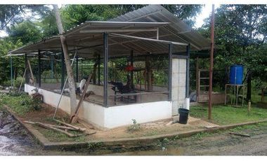 SE VENDE FINCA  En Santa Rosa, Sector el Quemado