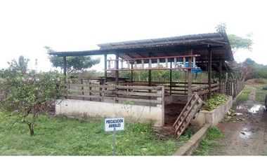 SE VENDE FINCA  En Santa Rosa, Sector el Quemado