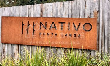 Vendemos Parcela con hermoso bosque nativo Punta Larga