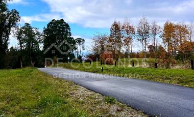 Vendemos Parcela con hermoso bosque nativo Punta Larga