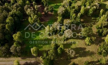 Vendemos Parcela con hermoso bosque nativo Punta Larga