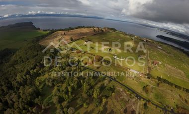 Vendemos Parcela con hermoso bosque nativo Punta Larga