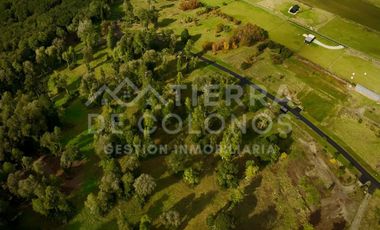 Vendemos Parcela con hermoso bosque nativo Punta Larga
