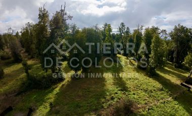 Vendemos Parcela con hermoso bosque nativo Punta Larga