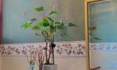 CASA EN VENTA EN SAN ANDRÉS TOTOLTEPEC