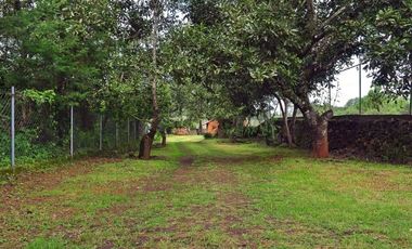 PROPIEDAD CON VISTA AL LAGO DE ZIRAHUÉN EN COPÁNDARO $7,000,000