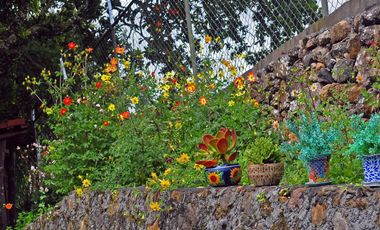 PROPIEDAD CON VISTA AL LAGO DE ZIRAHUÉN EN COPÁNDARO $7,000,000