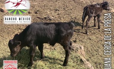 LOTES CAMPESTRES MUY CERCA DE LA CIUDAD SIN ENGANCHE