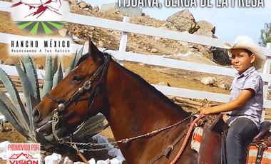 LOTES CAMPESTRES MUY CERCA DE LA CIUDAD SIN ENGANCHE