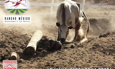 LOTES CAMPESTRES MUY CERCA DE LA CIUDAD SIN ENGANCHE