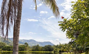 ALQUILER DE FINCA LOS NARANJOS TEL3219282302 EN VILLETA