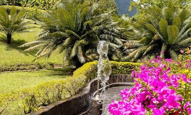 ALQUILER DE FINCA LOS NARANJOS TEL3219282302 EN VILLETA