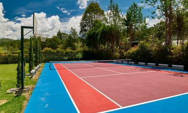 ALQUILER DE FINCA LOS NARANJOS TEL3219282302 EN VILLETA