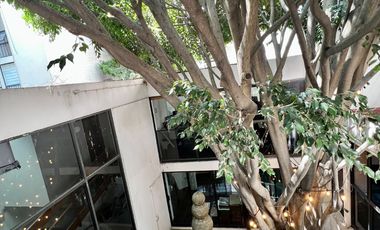 Venta de Casa en del Valle. Se Pueden Desarrollar 5 Propiedades.