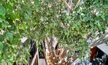 Venta de Casa en del Valle. Se Pueden Desarrollar 5 Propiedades.