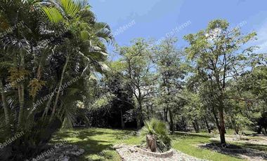 DEPTOS NUEVOS EN JIUTEPEC