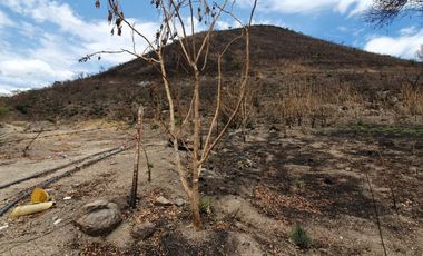 Terreno en Venta San Agustín en Antiguo Camino a Tlajomulco Guadalajara