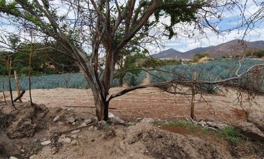 Terreno en Venta San Agustín en Antiguo Camino a Tlajomulco Guadalajara
