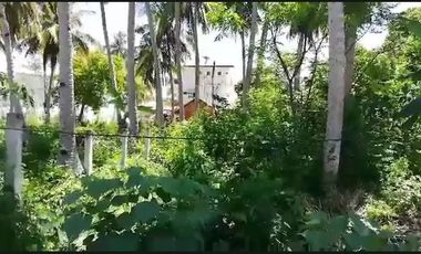 Lot for Lease in Doljo, Panglao near the beach