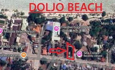 Lot for Lease in Doljo, Panglao near the beach