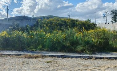 Venta de terreno de 603m2 de doble frente en la Merced Valle de los Chillos Quito,Ecuador