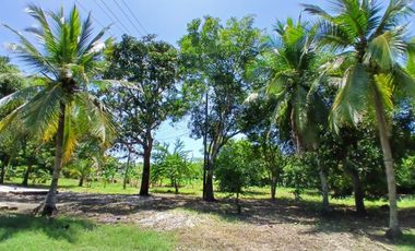 LOTE EN VENTA  LAS PETRONITAS - GALAPA ATLANTICO