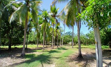 LOTE EN VENTA  LAS PETRONITAS - GALAPA ATLANTICO