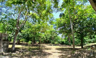 LOTE EN VENTA  LAS PETRONITAS - GALAPA ATLANTICO