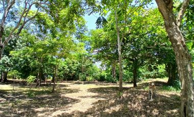 LOTE EN VENTA  LAS PETRONITAS - GALAPA ATLANTICO
