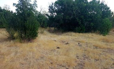 Oportunidad Única en Las Cabras Vive rodeado de naturaleza y tranquilidad