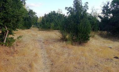 Oportunidad Única en Las Cabras Vive rodeado de naturaleza y tranquilidad