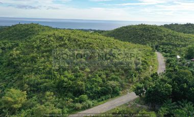 Scenic View Lot for Sale located in San Roque, Baclayon, Bohol