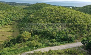Scenic View Lot for Sale located in San Roque, Baclayon, Bohol