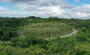 Scenic View Lot for Sale located in San Roque, Baclayon, Bohol
