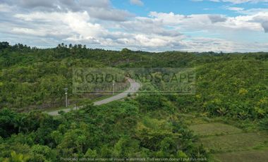 Scenic View Lot for Sale located in San Roque, Baclayon, Bohol