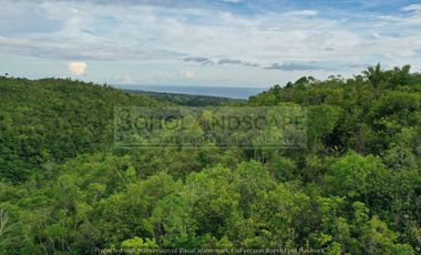 Scenic View Lot for Sale located in San Roque, Baclayon, Bohol