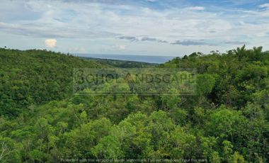 Scenic View Lot for Sale located in San Roque, Baclayon, Bohol