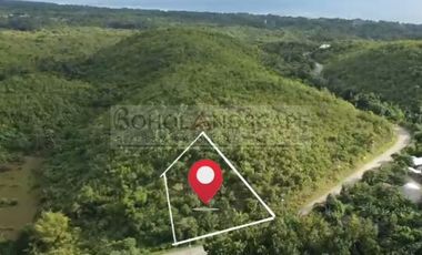Scenic View Lot for Sale located in San Roque, Baclayon, Bohol